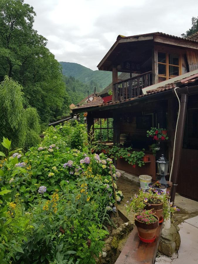 Pensiunea Mioritica Sibiel Dış mekan fotoğraf